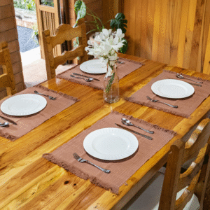 Mantel individual Terracota 6 piezas